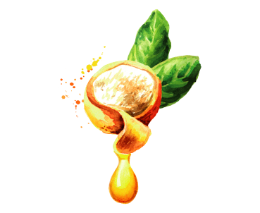 aceite de marula