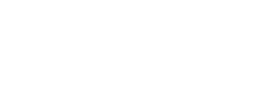 Nirvel Professional