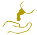 aplicación