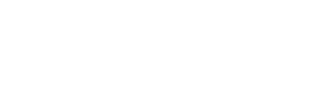 logo levissime