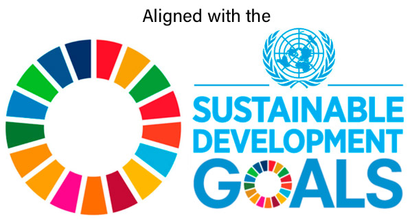 logo sustainable development goals